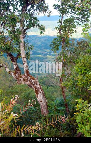 Thaïlande : vue de Sam Thong Cliff, parc national de Phu Ruea, province de Loei. La province de Loei (thaï : เลย) est située dans le nord-est de la Thaïlande. Les provinces voisines sont (de l'est dans le sens des aiguilles d'une montre) Nong Khai, Udon Thani, Nongbua Lamphu, Khon Kaen, Phetchabun, Phitsanulok. Au nord, elle borde les provinces de Xaignabouli et Vientiane du Laos. La province est couverte de basses montagnes, tandis que la capitale Loei est située dans un bassin fertile. La rivière Loei, qui traverse la province, est un affluent du Mékong. Banque D'Images