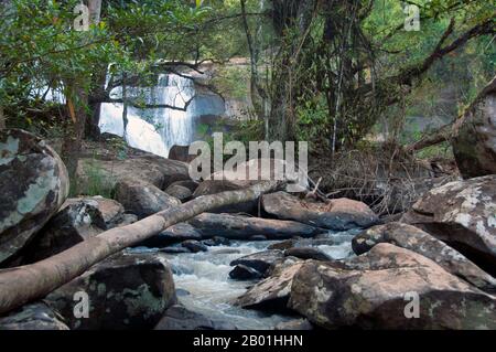 Thaïlande : chute d'eau de Tat Huang (Namtok Nam Hueang), également connue sous le nom de chute d'eau Thai-Lao ou chute d'eau internationale, parc national de Phu Suan Sai, province de Loei. La province de Loei est située dans le nord-est supérieur de la Thaïlande. Les provinces voisines sont (de l'est dans le sens des aiguilles d'une montre) Nong Khai, Udon Thani, Nongbua Lamphu, Khon Kaen, Phetchabun, Phitsanulok. Au nord, elle borde les provinces de Xaignabouli et Vientiane du Laos. La province est couverte de basses montagnes, tandis que la capitale Loei est située dans un bassin fertile. La rivière Loei, qui traverse la province, est un affluent du Mékong. Banque D'Images