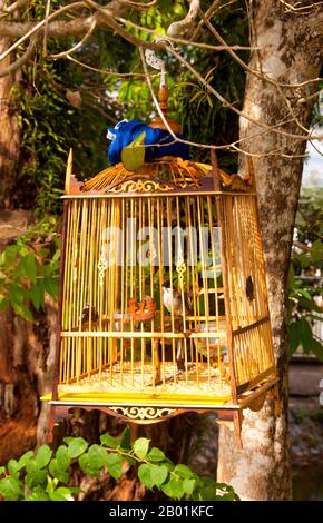 Thaïlande : Birdcage, Kaphang Surin Lake, Trang Town, province de Trang, sud de la Thaïlande. Trang est un centre commercial depuis au moins le 1e siècle de notre ère. Elle a grandi à la prospérité entre les 7e et 13e siècles au cours de la période Srivijaya et reste aujourd'hui une importante ville commerciale. Le caoutchouc, l'huile de palme et la pêche sont les piliers de l'économie de la ville. Le tourisme a un impact croissant alors que la côte et les îles Andaman de Trang sont de plus en plus développées et popularisées. Banque D'Images