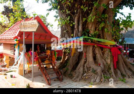 Thaïlande : Maison de l'esprit et un arbre bo enveloppé, Wat si LOM, Lampang, province de Lampang. Beaucoup de thaïlandais croient que chaque maison devrait avoir sa propre maison d'esprit prévoyant le bien-être de l'esprit de la localité. Ceux-ci peuvent être n'importe où dans le jardin (même, dans les grandes villes, sur le toit), avec la condition importante que l'ombre de l'habitation humaine ne devrait jamais tomber sur la maison de l'esprit, la maison du propriétaire original et véritable de la terre - le chao thii. Banque D'Images