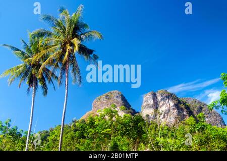 Thaïlande : pics calcaires sur la route d'Ao Nang, province de Krabi. La province de Krabi est composée de plus de 5 000 km2 de collines couvertes de jungle et d'affleurements karstiques pointus et déchiquetés, ainsi que de plus de 100 km de côtes immaculées et d'environ 200 îles dans la mer d'Andaman voisine. Environ 40 % de la population provinciale est musulmane, le reste étant majoritairement bouddhiste. Ceci est une indication claire que Krabi se trouve à cheval sur la ligne de démarcation invisible entre la Thaïlande bouddhiste et les quatre provinces du sud - Satun, Narathiwat, Yala et Pattani - qui sont majoritairement musulmanes. Banque D'Images