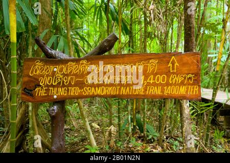 Thaïlande : panneau sur le sentier, Tung Tieo Forest Trail, Khao Pra - Bang Khram Wildlife Sanctuary, province de Krabi. Situé au sud-est de la ville de Krabi 18 km (11 miles) à l'est de la petite ville de Khlong Thom, Khao Pra - Bang Khram Wildlife Sanctuary est une petite zone de forêt tropicale de plaine. Populaire auprès des ornithologues, le sanctuaire abrite la rare pitta de Gurney, une espèce en voie de disparition autrefois considérée comme éteinte, mais redécouverte en très petit nombre ici et à travers la frontière dans des régions reculées du sud du Myanmar (Birmanie). Banque D'Images