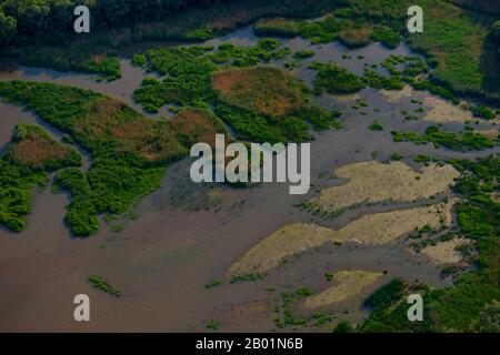 Vasières d'eau douce et forêt alluviale de l'île Hanskalbsand, rivière Elbe, vue aérienne, Allemagne, Basse-Saxe Banque D'Images