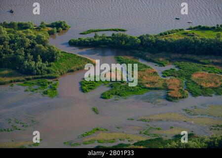 Vasières d'eau douce et forêt alluviale de l'île Hanskalbsand, rivière Elbe, vue aérienne, Allemagne, Basse-Saxe Banque D'Images