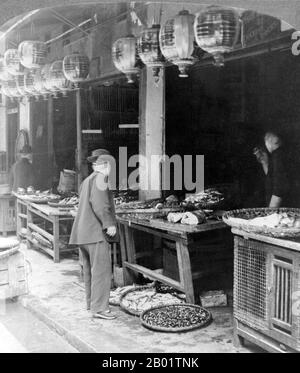 États-Unis : acheter du poisson au marché aux poissons Chinatown de San Francisco. Photo de C.L. Wasson (1866-1951), c. 1906. Le quartier chinois de San Francisco a été le point d'entrée des premiers immigrants chinois hoisanais et Zhongshanais de la province du Guangdong dans le sud de la Chine des années 1850 aux années 1900 La région était la seule région géographique détenue par le gouvernement de la ville et les propriétaires privés qui permettaient aux Chinois d'hériter et d'habiter des logements dans la ville. La majorité de ces commerçants chinois, propriétaires de restaurants et travailleurs embauchés à San Francisco étaient majoritairement des Hoisanais et des hommes. Banque D'Images