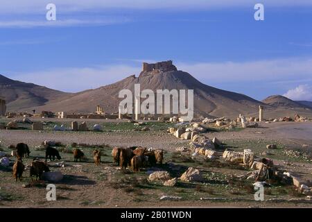 Syrie : Château de Qala’at Ibn Maan au-dessus des ruines de Palmyre. Le château arabe, Qala’at Ibn Maan (également connu sous le nom de Fakhr-al-DIN al-Maani), situé sur une colline surplombant les ruines a été construit à l’origine par les Mamelouks au XIIIe siècle. Palmyre était une ancienne ville en Syrie. C’était une ville importante du centre de la Syrie, située dans une oasis à 215 km au nord-est de Damas et à 180 km au sud-ouest de l’Euphrate à Deir ez-Zor. Elle avait longtemps été une ville caravane vitale pour les voyageurs traversant le désert syrien et était connue comme la mariée du désert. Banque D'Images