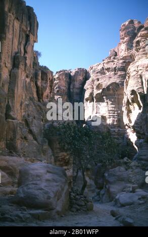 Jordanie : le Siq (puits) menant à l'ancienne ville de Pétra. Le Siq ou al-Siq ('le puits') est l'entrée principale de l'ancienne ville de Pétra dans le sud de la Jordanie. La gorge étroite et sombre (à certains endroits pas plus de 3 mètres de large) serpente sur environ un mile et se termine à la ruine la plus élaborée de Petra, Al Khazneh (le Trésor). Pétra a été établie pour la première fois comme une ville par les Arabes nabatéens au IVe siècle av. J.-C., et doit sa naissance et sa prospérité au fait qu'elle était le seul endroit avec une eau claire et abondante entre les centres commerciaux du Hijaz de la Mecque et de Médine. Banque D'Images