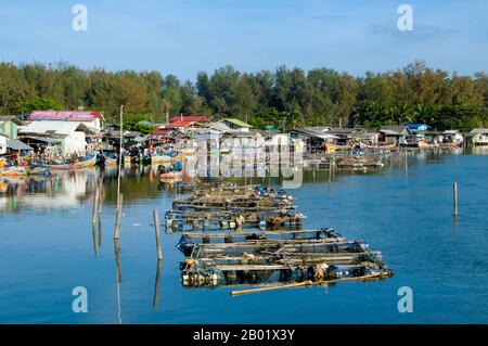 Thaïlande : village de pêcheurs et fermes piscicoles, Narathiwat, sud de la Thaïlande. Narathiwat est l’un des rares points où les mondes thaïlandais et malais se rencontrent et se mêlent à celui des Chinois d’outre-mer. Cela a abouti à un système social intrigamment complexe, où les bouddhistes thaïlandais contrôlent la bureaucratie, les Chinois de souche gèrent l'économie urbaine, et les musulmans malais cultivent la campagne et pêchent les mers. Narathiwat est une petite ville tranquille et isolée d'environ 40 000 habitants - l'une des plus petites capitales provinciales de Thaïlande - avec un caractère tout à fait propre. Banque D'Images