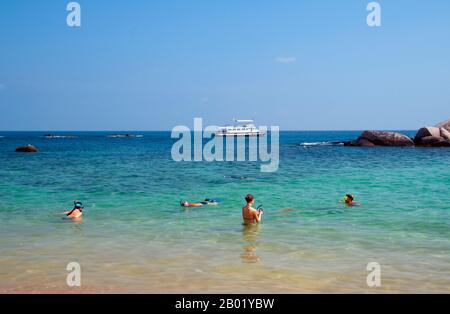 Thaïlande : snorkellers, Ao Tanot, Ko Tao (île de la tortue), sud de la Thaïlande. Ko Tao ou île de la tortue, situé au milieu du golfe de Thaïlande, a été nommé par les premiers colons pour la forme bosse de l'île, semblable à une tortue, bien qu'il s'agisse également d'un important terrain de reproduction pour Hawksbill et les tortues vertes. L’économie de l’île, autrefois inhabitée à l’exception des pêcheurs de passage, tourne désormais presque exclusivement autour du tourisme et de la plongée sous-marine. Le développement rapide du tourisme ces dernières années a eu un impact négatif sur la reproduction des tortues. Banque D'Images