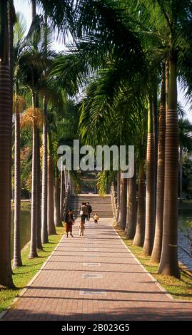 Chine : les palmiers bordent un chemin dans le parc Renmin, Nanning, province du Guangxi. Nanning a été fondée à l'origine sous la dynastie Yuan (1271-1368), bien qu'il y ait un siège de comté ici appelé Jinxing dès 318 EC. Ouvert au commerce extérieur par les Chinois en 1907, Nanning se développe rapidement. De 1912 à 1936, elle fut la capitale provinciale du Guangxi, en remplacement de Guilin. En raison de sa proximité avec la frontière vietnamienne, Nanning est devenu un centre majeur pour approvisionner le Nord-Vietnam de Hô Chi Minh pendant la seconde guerre d'Indochine (guerre du Vietnam). Banque D'Images