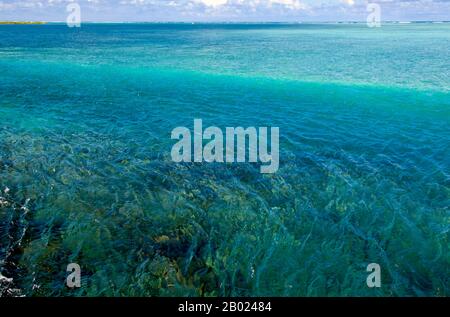 Maldives : les vagues s'écrasent sur le récif corallien sortant de l'île de Gan, dans l'atoll d'Addu (atoll de Seenu). La République des Maldives, la nation la plus petite et la moins connue d'Asie, se trouve dispersée du nord au sud sur une étendue de 750 kilomètres de l'océan Indien à 500 kilomètres au sud-ouest du Sri Lanka. Plus de 1000 îles, ainsi que d'innombrables banques et récifs, sont regroupées en une chaîne de dix-neuf atolls qui s'étend d'un point situé à l'ouest de Colombo jusqu'au sud de l'Équateur. Les atolls, formés de grands anneaux de corail basés sur la crête sous-marine Laccadive-Chagos, varient considérablement en taille. Banque D'Images