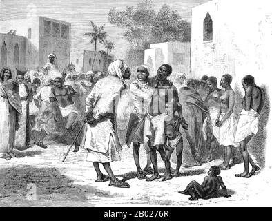 En 1698, Zanzibar est tombé sous le contrôle du Sultanat d'Oman. Jusqu'aux alentours de 1890, les sultans de Zanzibar contrôlaient une partie importante de la côte est-africaine, connue sous le nom de Zanj, qui comprenait Mombasa, Dar es Salaam, et des routes commerciales s'étendant beaucoup plus loin dans les terres, comme la route menant à Kindu sur la rivière Congo. Les sultans ont développé une économie de commerce et de cultures de trésorerie dans l'archipel de Zanzibar avec une élite arabe au pouvoir. L'Ivoire était un bien commercial majeur. L'archipel, également connu sous le nom d'îles Spice, était célèbre dans le monde entier pour ses clous de girofle et autres épices, et les plantations étaient deve Banque D'Images