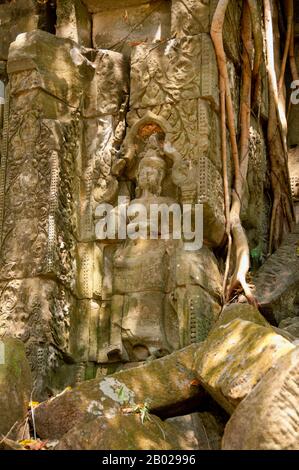 Cambodge : Apsara (nymphe céleste), Beng Mealea (temple khmer du XIIe siècle), à 40 km à l'est du groupe principal de temples d'Angkor. Beng Mealea a été construit comme un temple hindou, mais il y a quelques sculptures représentant des motifs bouddhistes. Son matériau primaire est le grès et il est en grande partie non restauré, avec des arbres et des broussailles épaisses prospérant au milieu de ses tours et cours et beaucoup de ses pierres se trouvant dans de grands tas. Pendant des années, il était difficile d'atteindre, mais une route récemment construite pour le complexe du temple de Koh Ker passe Beng Mealea et plus de visiteurs viennent sur le site, car il est à 77 km de Siem Reap par la route. Banque D'Images