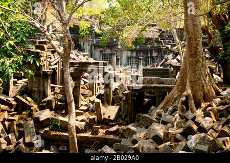 Cambodge : les ruines de Beng Mealea (temple khmer du XIIe siècle), à 40 km à l'est du groupe principal de temples d'Angkor. Beng Mealea a été construit comme un temple hindou, mais il y a quelques sculptures représentant des motifs bouddhistes. Son matériau primaire est le grès et il est en grande partie non restauré, avec des arbres et des broussailles épaisses prospérant au milieu de ses tours et cours et beaucoup de ses pierres se trouvant dans de grands tas. Pendant des années, il était difficile d'atteindre, mais une route récemment construite pour le complexe du temple de Koh Ker passe Beng Mealea et plus de visiteurs viennent sur le site, car il est à 77 km de Siem Reap par la route. Banque D'Images
