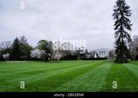 Vue panoramique sur le paysage de la célèbre Maison Blanche à Washington DC au printemps, lorsque les cerisiers sont en pleine floraison. Banque D'Images