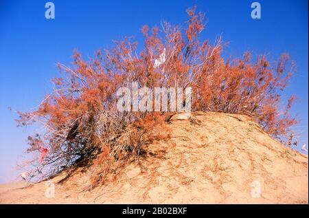 Chine : un tombeau dans les dunes de sable près de l'Imam Asim Mazar (sanctuaire) dans le désert près de Khotan, province du Xinjiang. Le sanctuaire de l'Imam Asim et d'autres tombes se trouvent à 23 kilomètres de Khotan (Hotan) sur la route de la soie au sud. C'est le site d'un immense pèlerinage chaque mois de mai. L’Imam Asim a été l’un des premiers missionnaires islamiques à visiter cette région. Khotan retrace son histoire au moins aussi loin que le IIIe siècle av. J.-C., lorsque le fils aîné de l'empereur indien Asoka s'est installé ici. C'était d'une grande importance sur la route de la soie. Banque D'Images