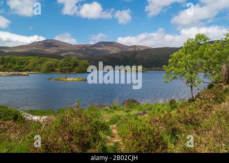 Magnifique lac de montagne parsemé d'îlots dans le parc national de Killarney, comté de Kerry, Irlande. Banque D'Images