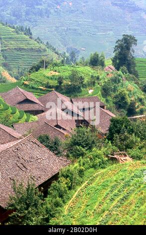 Chine : Ping an, un village de Zhuang à côté des champs de riz en terrasses Longji (épine dorsale du Dragon), terrasses de riz de Longsheng, comté de Longsheng, province du Guangxi. Le peuple Zhuang (pinyin : Zhuàngzú ; Zhuang : Bouxcuengh) est un groupe ethnique qui vit principalement dans la région autonome Zhuang du Guangxi dans le sud de la Chine. Certains vivent également dans les provinces du Yunnan, du Guangdong, du Guizhou et du Hunan. Ils forment l'un des 55 groupes ethniques minoritaires officiellement reconnus par la République populaire de Chine. Avec le Buyi, le Tay-Nùng et d'autres locuteurs du nord du Tai, ils sont parfois connus sous le nom de Rau ou Rao. Banque D'Images