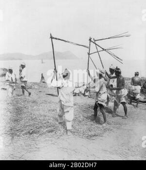 Busan (부산 (prononciation coréenne: [Pusan]), officiellement Busan Metropolitan City), Latinolisé Pusan avant 2000, est la deuxième métropole de la Corée du Sud après Séoul, avec une population d'environ 3,6 millions d'habitants. La population de la région métropolitaine, y compris les villes adjacentes de Gimhae et Yangsan, est d'environ 4,6 millions. C'est la plus grande ville portuaire de Corée du Sud et le cinquième port maritime le plus achalandé au monde par le tonnage de fret. La ville est située à la pointe la plus au sud-est de la péninsule coréenne. Les zones les plus densément construites de la ville sont situées dans un certain nombre de vallées étroites être Banque D'Images