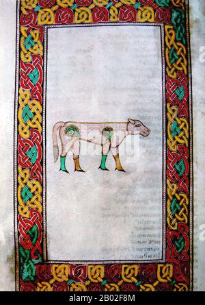 Le Livre de Durrow est un livre évangélique manuscrit illuminé médiéval dans le style artistique insulaire. Il a probablement été créé entre 650 et 700 ce. Le lieu de création pourrait avoir été l'abbaye de Durrow en Irlande ou un monastère dans la région de Lincolbria dans le nord-est de l'Angleterre (où le monastère de Lindisfarne serait le candidat probable) ou peut-être l'abbaye d'Iona dans l'ouest de l'Écosse -- le lieu d'origine a été débattu par les historiens depuis des décennies sans qu'un consensus ne se dégage. Le Livre de Durrow était certainement à l'Abbaye de Durrow par 916. Aujourd'hui, il est dans la bibliothèque de Trinity College, Dublin (MS A. 4. 5. (57)). Banque D'Images