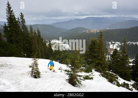 Vue panoramique sur les montagnes boisées d'hiver. Photo d'angle supérieur avec vue à distance du snowboarder non reconnaissable glissant entre des sapins verts sur une pente enneigée. Snowboard hors-piste et ski-tourisme Banque D'Images