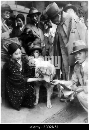 Hachikō (ハチ公, 10 novembre 1923 – 8 mars 1935) était un chien Akita né dans une ferme près de la ville de Ōdate, préfecture d'Akita, qui se souvient de sa fidélité remarquable à son propriétaire qui a continué pendant de nombreuses années après la mort de son propriétaire. En 1924, Hidesaburō Ueno, professeur au département d'agriculture de l'Université de Tokyo, prit à Hachikō, une Akita brune dorée, comme animal de compagnie. Pendant la vie de son propriétaire, Hachikō l'a accueilli à la fin de chaque journée à la gare Shibuya voisine. La paire a poursuivi sa routine quotidienne jusqu'en mai 1925, lorsque le professeur Ueno n'est pas retourné. Le professeur avait souffert Banque D'Images