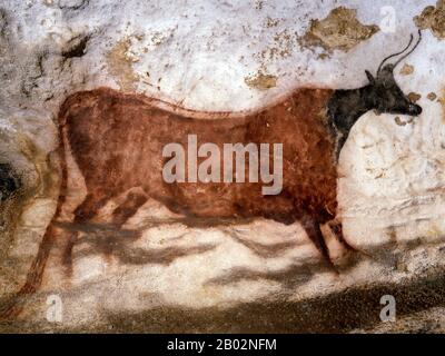 Lascaux est le cadre d'un complexe de grottes dans le sud-ouest de la France célèbre pour ses peintures rupestres paléolithiques. Les grottes d'origine sont situées près du village de Montignac, dans le département de la Dordogne. Ils contiennent certains des œuvres d'art paléolithique supérieures les plus connues. Ces peintures sont estimées à 17 300 ans. Ils consistent principalement en des images de grands animaux, dont la plupart sont connus des preuves fossiles pour avoir vécu dans la région à l'époque. En 1979, Lascaux a été ajouté à la liste des sites du patrimoine mondial de l'UNESCO ainsi qu'à d'autres sites préhistoriques de la vallée de la Vézère. Banque D'Images