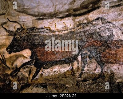 Lascaux est le cadre d'un complexe de grottes dans le sud-ouest de la France célèbre pour ses peintures rupestres paléolithiques. Les grottes d'origine sont situées près du village de Montignac, dans le département de la Dordogne. Ils contiennent certains des œuvres d'art paléolithique supérieures les plus connues. Ces peintures sont estimées à 17 300 ans. Ils consistent principalement en des images de grands animaux, dont la plupart sont connus des preuves fossiles pour avoir vécu dans la région à l'époque. En 1979, Lascaux a été ajouté à la liste des sites du patrimoine mondial de l'UNESCO ainsi qu'à d'autres sites préhistoriques de la vallée de la Vézère. Banque D'Images