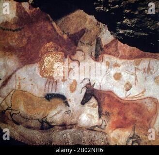 Lascaux est le cadre d'un complexe de grottes dans le sud-ouest de la France célèbre pour ses peintures rupestres paléolithiques. Les grottes d'origine sont situées près du village de Montignac, dans le département de la Dordogne. Ils contiennent certains des œuvres d'art paléolithique supérieures les plus connues. Ces peintures sont estimées à 17 300 ans. Ils consistent principalement en des images de grands animaux, dont la plupart sont connus des preuves fossiles pour avoir vécu dans la région à l'époque. En 1979, Lascaux a été ajouté à la liste des sites du patrimoine mondial de l'UNESCO ainsi qu'à d'autres sites préhistoriques de la vallée de la Vézère. Banque D'Images