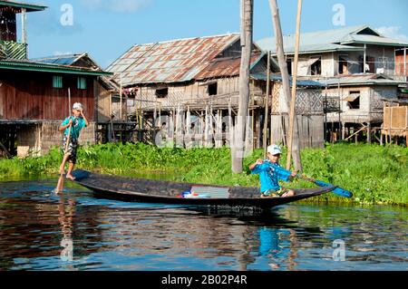 Le lac Inle est un lac d'eau douce situé dans le canton de Nyaungshwe, dans le district de Taunggyi, dans l'État de Shan, dans les collines de Shan, au Myanmar (Birmanie). C'est le deuxième plus grand lac du Myanmar avec une superficie estimée de 116 km2 et l'un des plus élevés à une altitude de 880 m. Les habitants du lac Inle (appelé Intha), dont environ 70 000 vivent dans quatre villes bordant le lac, dans de nombreux petits villages le long des rives du lac et sur le lac lui-même. L'ensemble du lac se trouve dans la commune de Nyaung Shwe. La population se compose principalement d'Intha, avec un mélange d'autres Banque D'Images