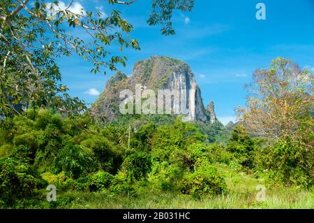 Le parc national de Khao Sok constitue le plus grand et le plus spectaculaire tractus de forêt vierge du sud de la Thaïlande. Cette forêt tropicale de 160 millions d'années est l'une des plus anciennes au monde. Le climat de la région n'a pas été affecté par les âges de glace passés, puisque la masse terrestre est relativement petite et il y a des mers des deux côtés. Des éléphants, des tigres, des ours, des boars, des tapirs gibbons et des singes vivent dans le parc, ainsi que plus de 300 espèces d'oiseaux, dont des hornds rares et des faisans d'argus. Les observations des animaux de grande taille sont habituellement la nuit, et des traces d’animaux sont régulièrement observées le long du parc Banque D'Images