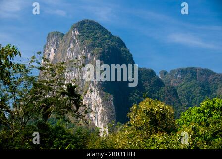 Le parc national de Khao Sok constitue le plus grand et le plus spectaculaire tractus de forêt vierge du sud de la Thaïlande. Cette forêt tropicale de 160 millions d'années est l'une des plus anciennes au monde. Le climat de la région n'a pas été affecté par les âges de glace passés, puisque la masse terrestre est relativement petite et il y a des mers des deux côtés. Des éléphants, des tigres, des ours, des boars, des tapirs gibbons et des singes vivent dans le parc, ainsi que plus de 300 espèces d'oiseaux, dont des hornds rares et des faisans d'argus. Les observations des animaux de grande taille sont habituellement la nuit, et des traces d’animaux sont régulièrement observées le long du parc Banque D'Images