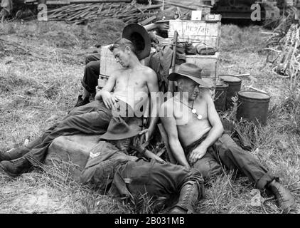 La campagne Bornéo de 1945 a été la dernière grande campagne alliée dans la région du Pacifique Sud-Ouest. Dans une série d'agressions amphibies entre le 1er mai et le 21 juillet, le corps australien I, sous la direction du lieutenant-général Leslie Morshead, a attaqué les forces japonaises qui occupent l'île. Les forces navales et aériennes alliées, centrées sur la 7ème flotte des États-Unis sous l'amiral Thomas Kinkaid, la 1TAF et la treizième Force aérienne des États-Unis, ont également joué un rôle important dans la campagne. Les objectifs de cette campagne étaient de capturer les gisements pétrolifères de Bornéo et de Brunei Bay pour soutenir l'invasion du Japon par les États-Unis et la libération de Malaya whi menée par les Britanniques Banque D'Images