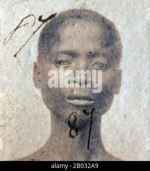 Cette photographie d'un esclave africain Libéré a été prise après qu'ils aient été libérés des navires en pente par la marine britannique. De 1861 à 1874, plus de 2500 « Africains Libérés » ont été expédiés à Port Victoria, Seychelles. Alors que le commerce des esclaves a continué à travers l'Afrique orientale et australe et l'Océan Indien, les 'libérés' ont été emmenés dans un dépôt, classé par le Magistrate de District, photographié, renommé et assigné comme 'apprentis' aux plantations d'origine française, où ils ont été indentés pendant cinq ans. Banque D'Images