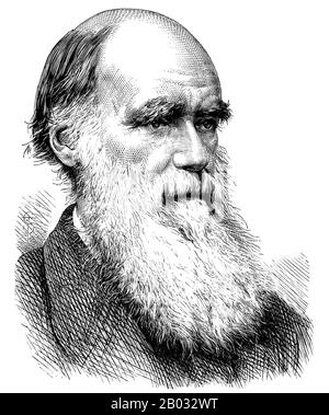 Charles Robert Darwin, FRS (12 février 1809 – 19 avril 1882) était naturaliste et géologue anglais, mieux connu pour ses contributions à la théorie de l'évolution. Il a établi que toutes les espèces de la vie sont descendues avec le temps d'ancêtres communs, Et dans une publication conjointe avec Alfred Russel Wallace a introduit sa théorie scientifique que ce modèle d'évolution branchable résulte d'un processus qu'il a appelé sélection naturelle, dans lequel la lutte pour l'existence a un effet similaire à la sélection artificielle impliquée dans la sélection sélective. Darwin a publié sa théorie de l'évolution avec co Banque D'Images