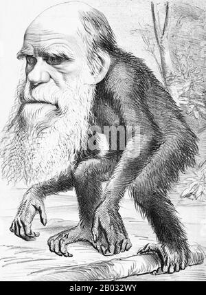 Charles Robert Darwin, FRS (12 février 1809 – 19 avril 1882) était naturaliste et géologue anglais, mieux connu pour ses contributions à la théorie de l'évolution. Il a établi que toutes les espèces de la vie sont descendues avec le temps d'ancêtres communs, Et dans une publication conjointe avec Alfred Russel Wallace a introduit sa théorie scientifique que ce modèle d'évolution branchable résulte d'un processus qu'il a appelé sélection naturelle, dans lequel la lutte pour l'existence a un effet similaire à la sélection artificielle impliquée dans la sélection sélective. Darwin a publié sa théorie de l'évolution avec co Banque D'Images