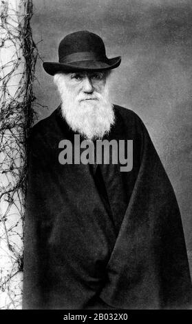 Charles Robert Darwin, FRS (12 février 1809 – 19 avril 1882) était naturaliste et géologue anglais, mieux connu pour ses contributions à la théorie de l'évolution. Il a établi que toutes les espèces de la vie sont descendues avec le temps d'ancêtres communs, Et dans une publication conjointe avec Alfred Russel Wallace a introduit sa théorie scientifique que ce modèle d'évolution branchable résulte d'un processus qu'il a appelé sélection naturelle, dans lequel la lutte pour l'existence a un effet similaire à la sélection artificielle impliquée dans la sélection sélective. Darwin a publié sa théorie de l'évolution avec co Banque D'Images