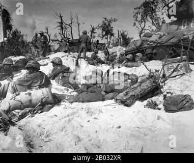 La bataille de Peliu a été combattue entre les Etats-Unis et l'Empire du Japon au Théâtre du Pacifique de la seconde Guerre mondiale, de septembre à novembre 1944 sur l'île de Peliu (aujourd'hui Palau). Les marines américaines de la première division marine, et plus tard les soldats de la 81ème division d'infanterie de l'armée américaine, se sont battus pour capturer une piste d'atterrissage sur la petite île de corail. Cette bataille faisait partie d'une campagne offensive plus vaste connue sous le nom d'opération Forager, qui s'est déroulée de juin à novembre 1944 au Pacific Theatre of Operations. Banque D'Images