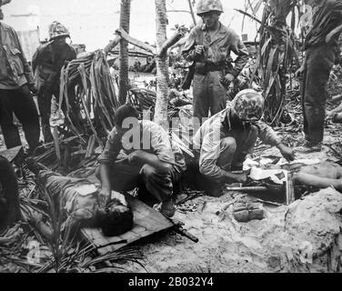 La bataille de Peliu a été combattue entre les Etats-Unis et l'Empire du Japon au Théâtre du Pacifique de la seconde Guerre mondiale, de septembre à novembre 1944 sur l'île de Peliu (aujourd'hui Palau). Les marines américaines de la première division marine, et plus tard les soldats de la 81ème division d'infanterie de l'armée américaine, se sont battus pour capturer une piste d'atterrissage sur la petite île de corail. Cette bataille faisait partie d'une campagne offensive plus vaste connue sous le nom d'opération Forager, qui s'est déroulée de juin à novembre 1944 au Pacific Theatre of Operations. Banque D'Images