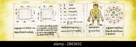 Le texte du manuel est en tibétain, qui était le langage liturgique du bouddhisme mongol. Semblable aux livres traditionnels tibétains, ce manuscrit se compose de feuilles oblongues non liées écrites des deux côtés. Suivant également la tradition, le livre est enveloppé dans un tissu de soie avec des cordes le liant dans un paquet serré. Le papier fait à la main a probablement été importé, les encres et les colorants utilisés pour le manuscrit ont probablement été faits à la main localement, et il a probablement été copié par un scribe de moine professionnel. Bien qu'il ait été copié dans les années 1800, l'information dans le texte est susceptible d'être beaucoup centuri Banque D'Images