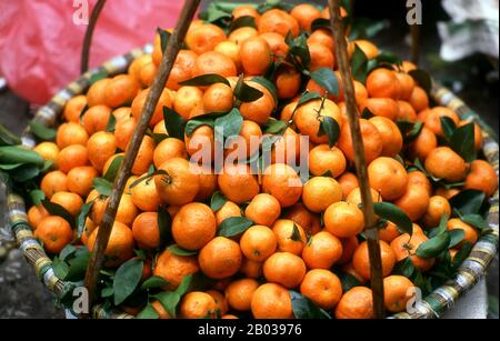 L'orange mandarine (Citrus reticulata), également connu sous le nom de mandarine ou de mandarine, est un petit agrumes avec des fruits ressemblant à d'autres oranges, habituellement mangé de la plaine ou dans des salades de fruits. Dong Xuan Market a été construit à l'origine par l'administration française en 1889 dans le vieux quartier de Hanoi lorsque les deux principaux marchés de la ville, l'un à la rue Hang Duong et l'autre à la rue Hang Ma, ont été fermés. La caractéristique la plus reconnaissable du marché était l'entrée à 5 arques correspondant aux cinq dômes du marché Dong Xuan. Banque D'Images