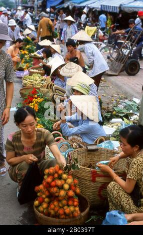 Le sud du Vietnam est dominé par les riches terres agricoles du delta du Mékong, la principale source de production de riz, de fruits et de légumes du pays. La terre est alluviale et basse, avec des marais et des forêts de mangroves à l'ouest et au sud. Pendant la saison des pluies, l'eau couvre un tiers du delta, avec des inondations jusqu'à 4 m (13 pi). Par endroits, l'eau salée empiète sur le delta jusqu'à 30 m (48 km). Bien que extraordinairement fertile, certaines parties du Delta n'ont pas encore été cultivées. Banque D'Images