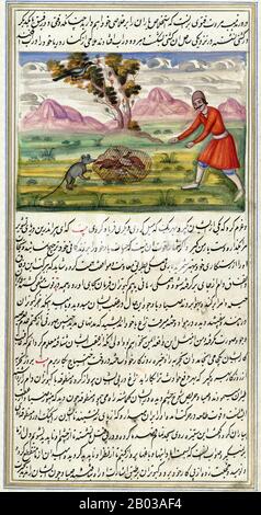 L'Anwar-i Suhayli ou 'The Lights of Canopus', communément connu sous le nom de Fables de Bidpai en Occident, est une version persane de l'ancienne collection indienne de fables animaux, le Panchatantra. Il raconte une histoire d'un médecin persan, Burzuyah, et de sa mission en Inde, où il trébuche sur un livre d'histoires recueillies auprès des animaux qui y résident. Dans une veine similaire à la Arabian Nights, les fables du manuscrit sont tissés entre eux comme les personnages d'une histoire recomptent le suivant, conduisant jusqu'à trois ou quatre degrés d'intégration narrative. Beaucoup ont habituellement des morales ou offrent des glim philosophiques Banque D'Images