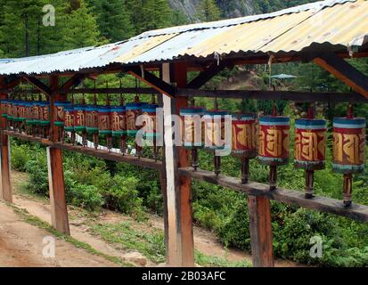 Le Paro Taktsang, également connu sous les noms de Monastère Taktsang Palphug et le Nid du tigre, est un site sacré bouddhiste majeur et un complexe de temple construit dans le cliffside de 1 000 mètres de la vallée du Paro supérieure au Bhoutan. Banque D'Images