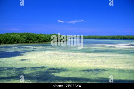 Cayo Coco, utilisé comme refuge par les buccaneers au début de la période coloniale, abrite une petite colonie de pêcheurs et de producteurs de charbon de bois jusqu'en 1955, lorsque l'approvisionnement en eau douce était épuisé et que le marché du charbon de bois s'est terminé avec la propagation de l'électrification après la Révolution cubaine. Un pont-jetée reliant l'île au continent cubain a ouvert ses portes le 26 juillet 1988 et la construction du complexe a commencé. Banque D'Images