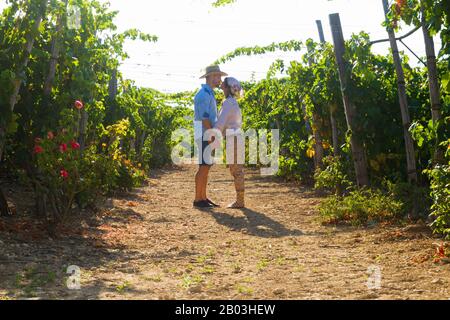 Jeune couple, viticulteurs, embrassant et embrassant les vignes tôt le matin. Banque D'Images