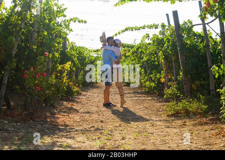 Jeune couple, viticulteurs, embrassant et embrassant les vignes tôt le matin. Banque D'Images