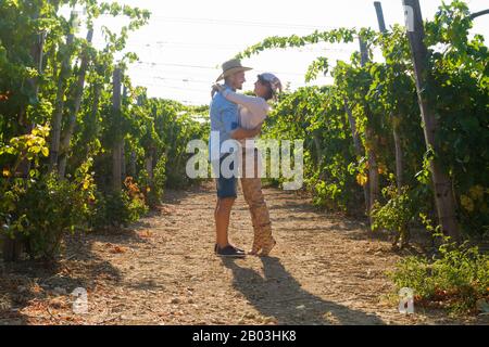 Jeune couple, viticulteurs, embrassant et embrassant les vignes tôt le matin. Banque D'Images