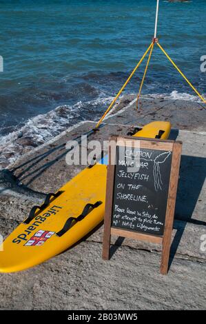 Le surf RNLI et un panneau d'avertissement avertissant les nageurs et les surfeurs des méduses de l'Homme de guerre portugais dans les eaux le long de la côte patrimoniale de Sta Agnes à maïs Banque D'Images