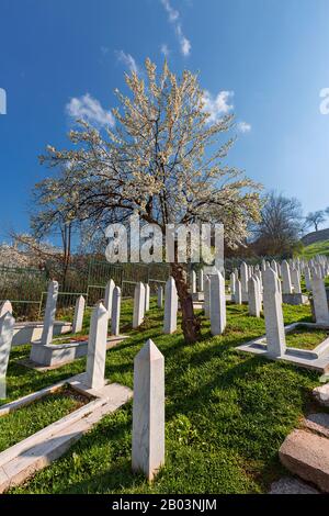 Cimetière musulman dédié aux victimes de la guerre de Bosnie, à Sarajevo, en Bosnie-Herzégovine Banque D'Images